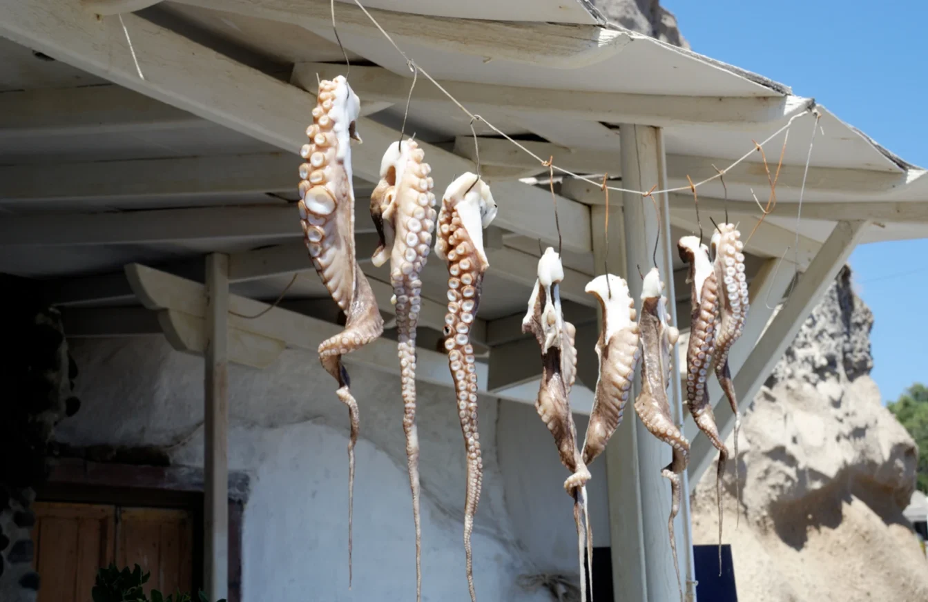Imagen de varias patas de pulpo secándose colgadas del tejado de una casa.