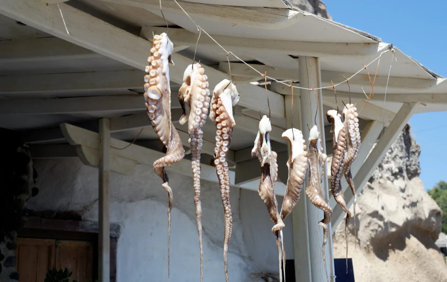 Imagen de varias patas de pulpo secándose colgadas del tejado de una casa.