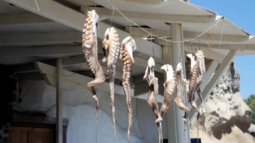 Imagen de varias patas de pulpo secándose colgadas del tejado de una casa.